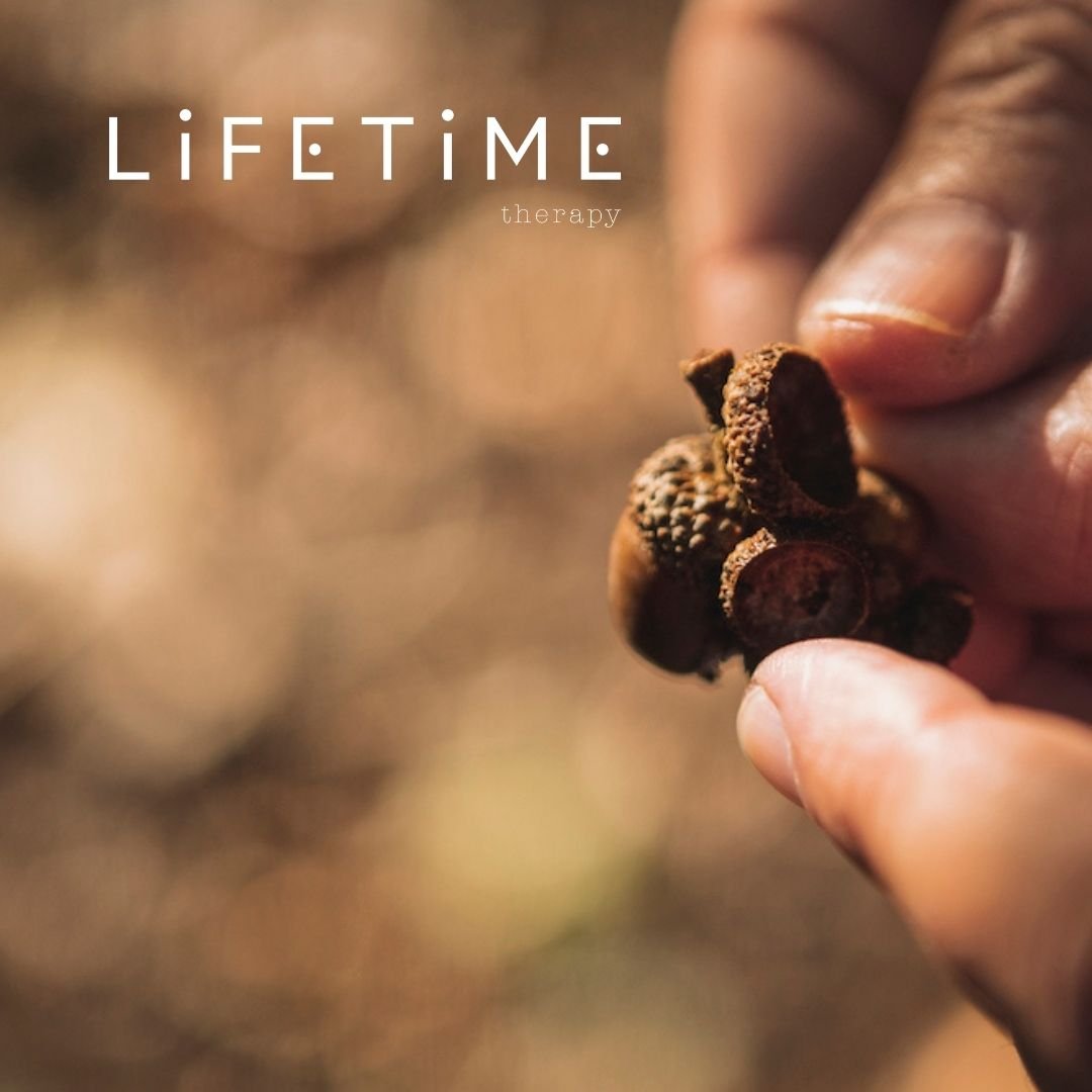 Here’s to a Sustainable & Sustaining Christmas